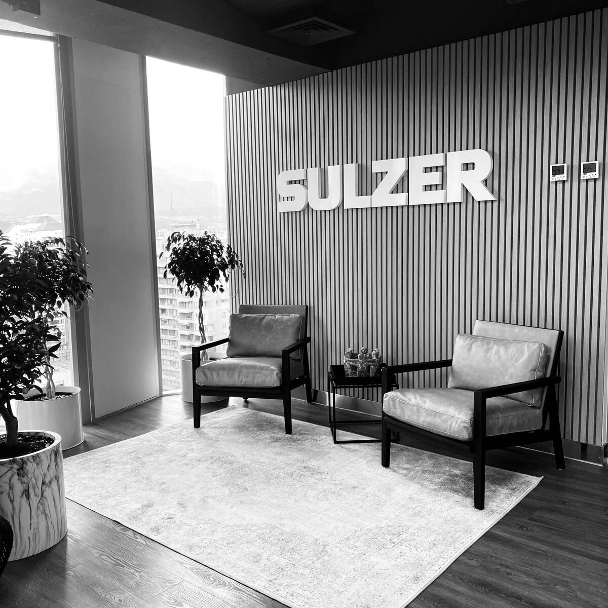 Sulzer Chile — Habilitación de espacios corporativos